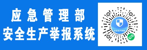 应急管理部安全生产举报系统