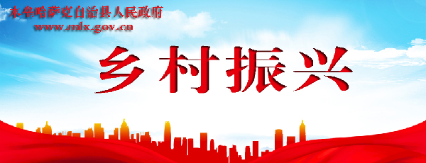 乡村振兴
