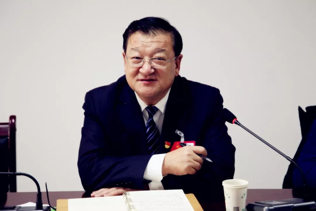 李武参加县人大代表团分组讨论